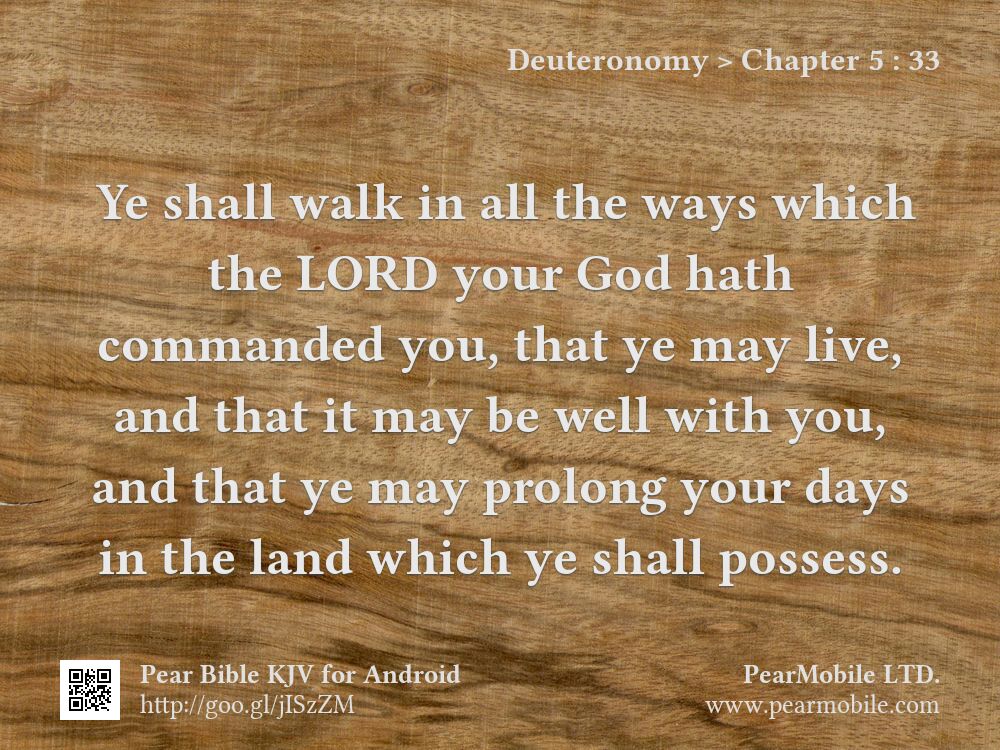 Deuteronomy, Chapter 5:33